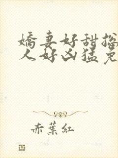 娇妻好甜总裁大人好凶猛免费小说