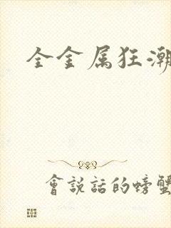 全金属狂潮小说