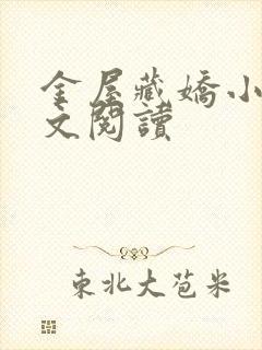 金屋藏娇小说全文阅读