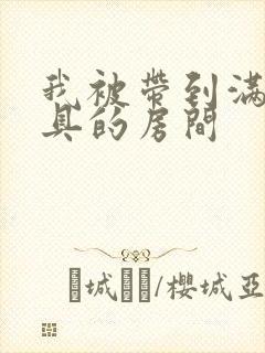 我被带到满是玩具的房间