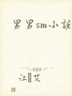 男男sm小说