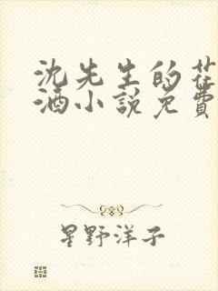 沈先生的花式调酒小说免费阅读