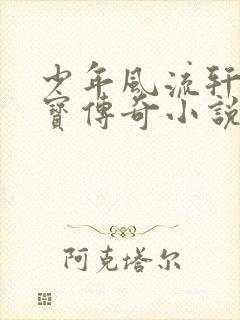 少年风流轩辕大宝传奇小说