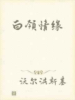 白领情缘