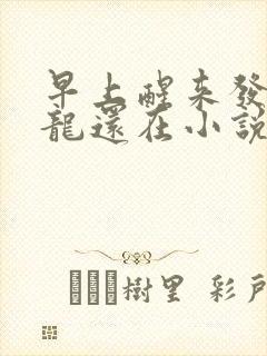 早上醒来发现巨龙还在小说