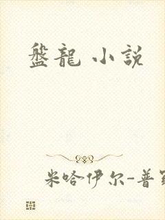 盘龙 小说
