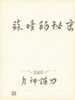 苏晴的秘密小说