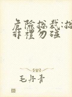 危险总裁:总裁非礼勿碰