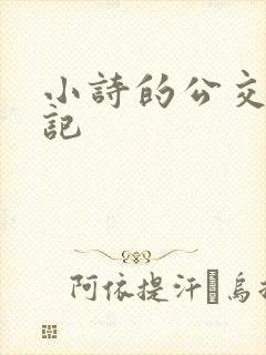 小诗的公交车日记