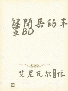 解开岳的丰满奶罩BD