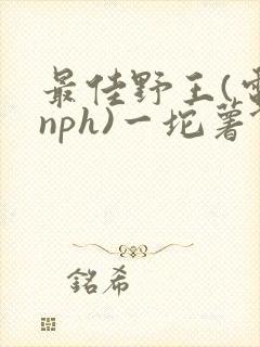 最佳野王(电竞nph)一坨薯饼