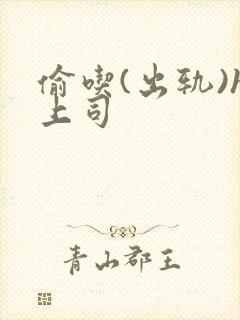 偷吃(出轨)h上司封面