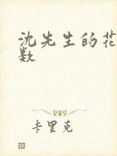 沈先生的花式调数