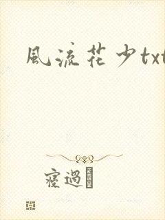 风流花少txt