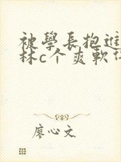 被学长抱进小树林c个爽软件