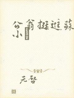 公翁挺进苏玥的小泬