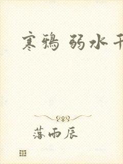 寒鸦 弱水千流