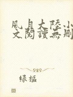 风月大陆小说全文阅读无删减