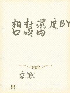 相对湿度BY大口吃肉