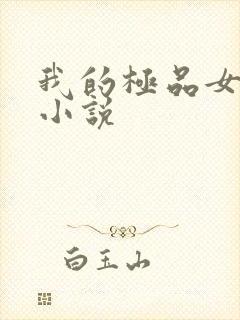 我的极品女老师小说