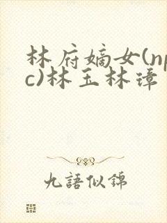 林府嫡女(npc)林玉林璋