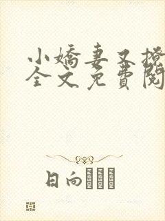 小娇妻又撩又甜全文免费阅读