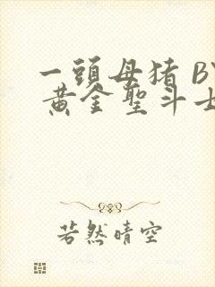 一头母猪 BY 黄金圣斗士