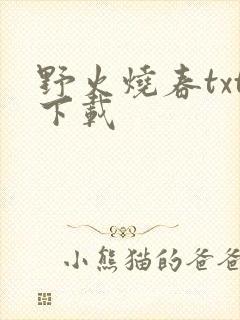 野火烧春txt下载