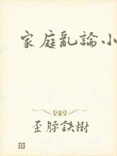 家庭乱论小说