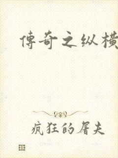 传奇之纵横玛法