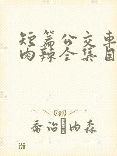 短篇公交车高h肉辣全集目录