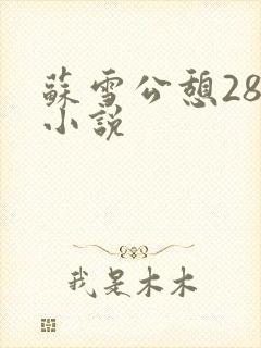 苏雪公憩28篇小说