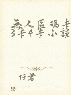 无人区码卡二卡3卡4卡小说