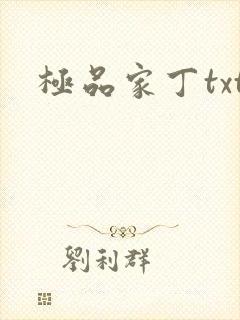极品家丁txt