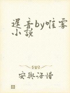 迟音by唯雾的小说