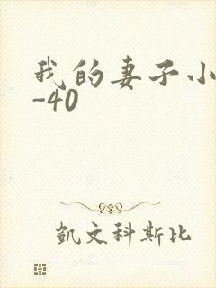 我的妻子小谨1-40
