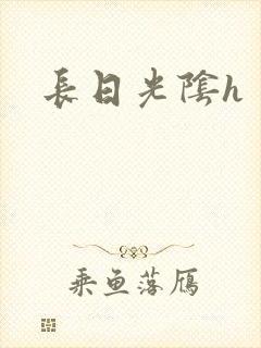 长日光阴h