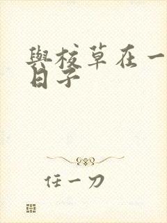 与校草在一起的日子