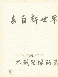 来自新世界小说