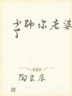 少帅你老婆又跑了