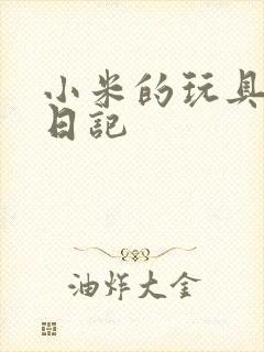 小米的玩具羞辱日记
