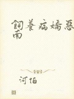 饲养病娇恶龙指南