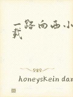 一路向西小说下载