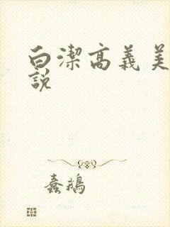 白洁高义美红小说