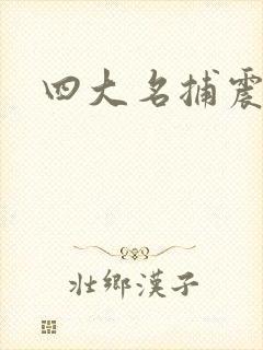 四大名捕震关东