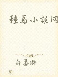 种马小说网