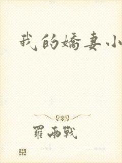 我的娇妻小说