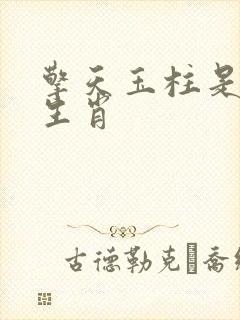 擎天玉柱是什么生肖