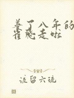 养了八年的金丝雀飞走啦