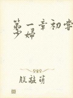 第一章初尝极品少妇